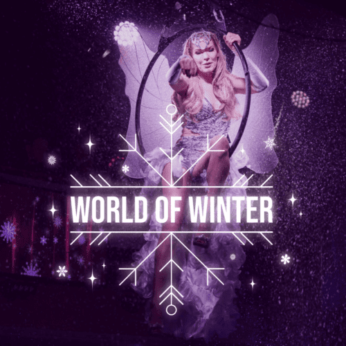 World of Winter Dinnershow